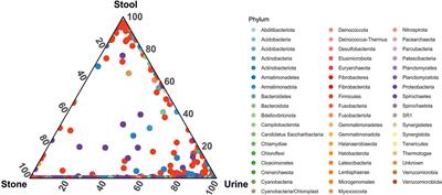 Rare phylotypes in stone, stool, and urine microbiomes are associated with urinary stone disease